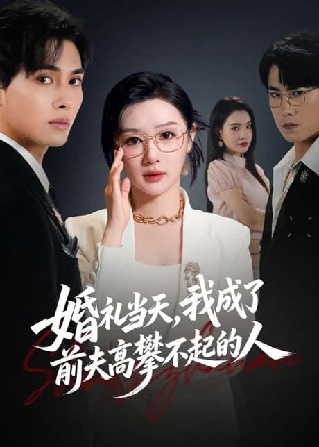 婚礼当天，我成了前夫高攀不起的人海报
