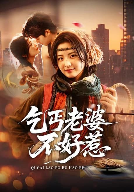 乞丐老婆不好惹海报