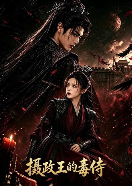 摄政王的毒侍海报