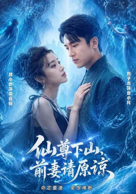 仙尊下山,前妻请原谅海报