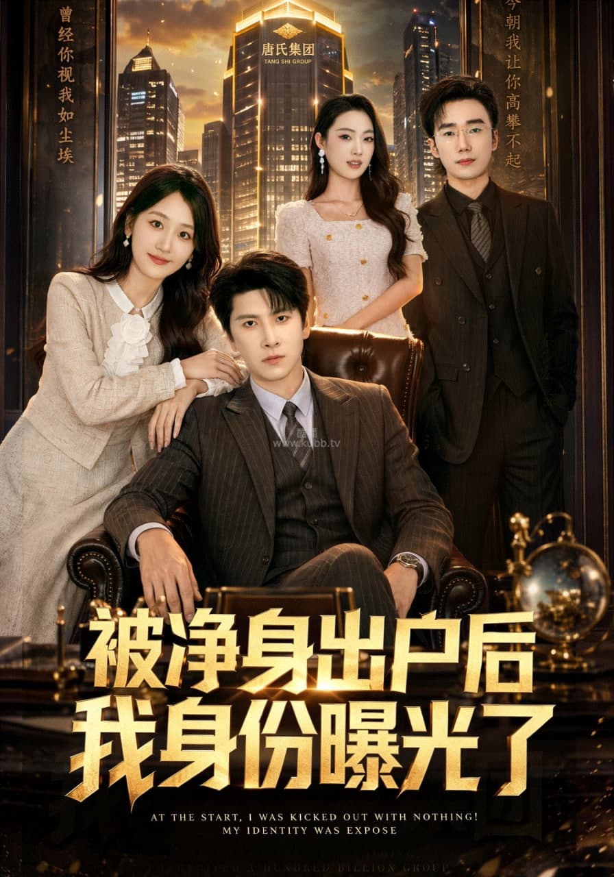 被净身出户后我身份曝光了海报