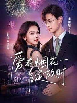 爱在烟花绽放时海报