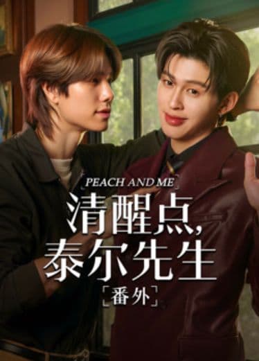 清醒点 泰尔先生番外篇海报