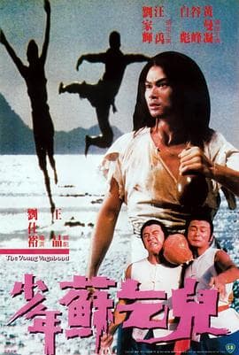 少年苏乞儿(粤语版)海报