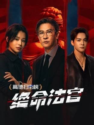 绝命法官海报