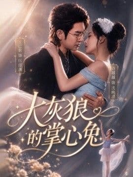 大灰狼的掌心兔海报