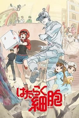 工作细胞第一季(普通话版)海报