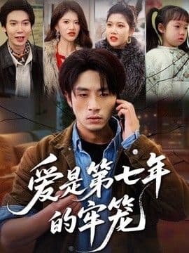 爱是第七年的牢笼海报