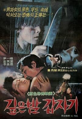 午夜凶杀海报