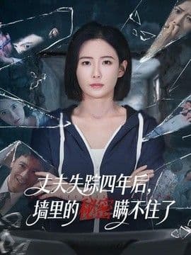 丈夫失踪四年后，墙里的秘密瞒不住了海报