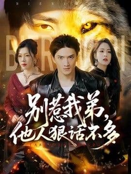 别惹我弟，他人狠话不多海报