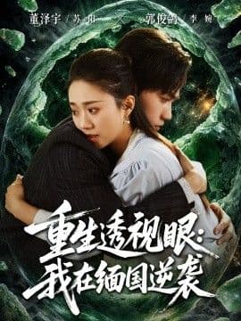 重生透视眼：我在缅国逆袭海报