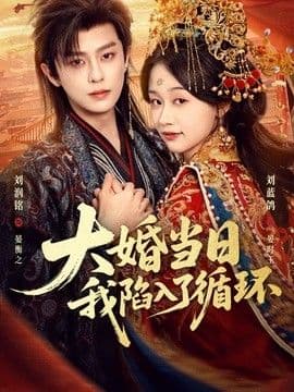 大婚当日，我陷入了循环海报