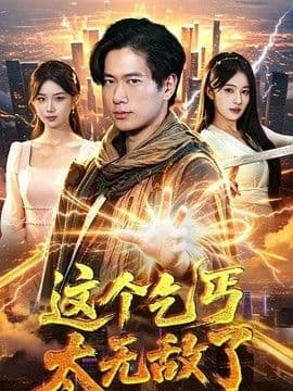 这个乞丐太无敌了海报