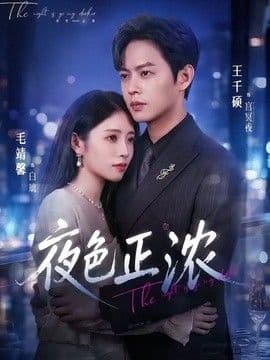 夜色正浓（2026）海报
