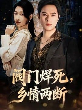阀门焊死，乡情两断海报