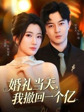 婚礼当天，我撤回一个亿海报