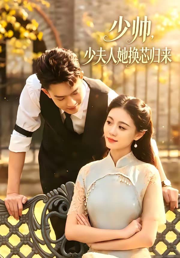 少帅，少夫人她换芯归来海报