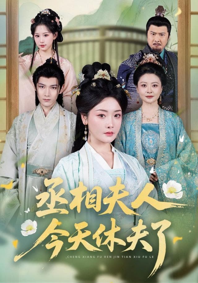 丞相夫人，今天休夫了海报
