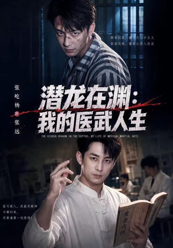 潜龙在渊：我的医武人生海报