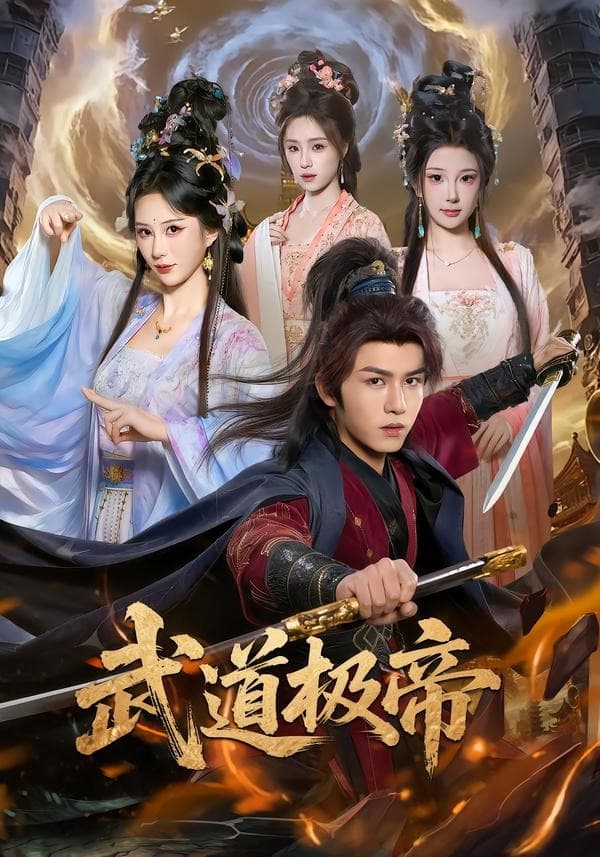 武道极帝海报