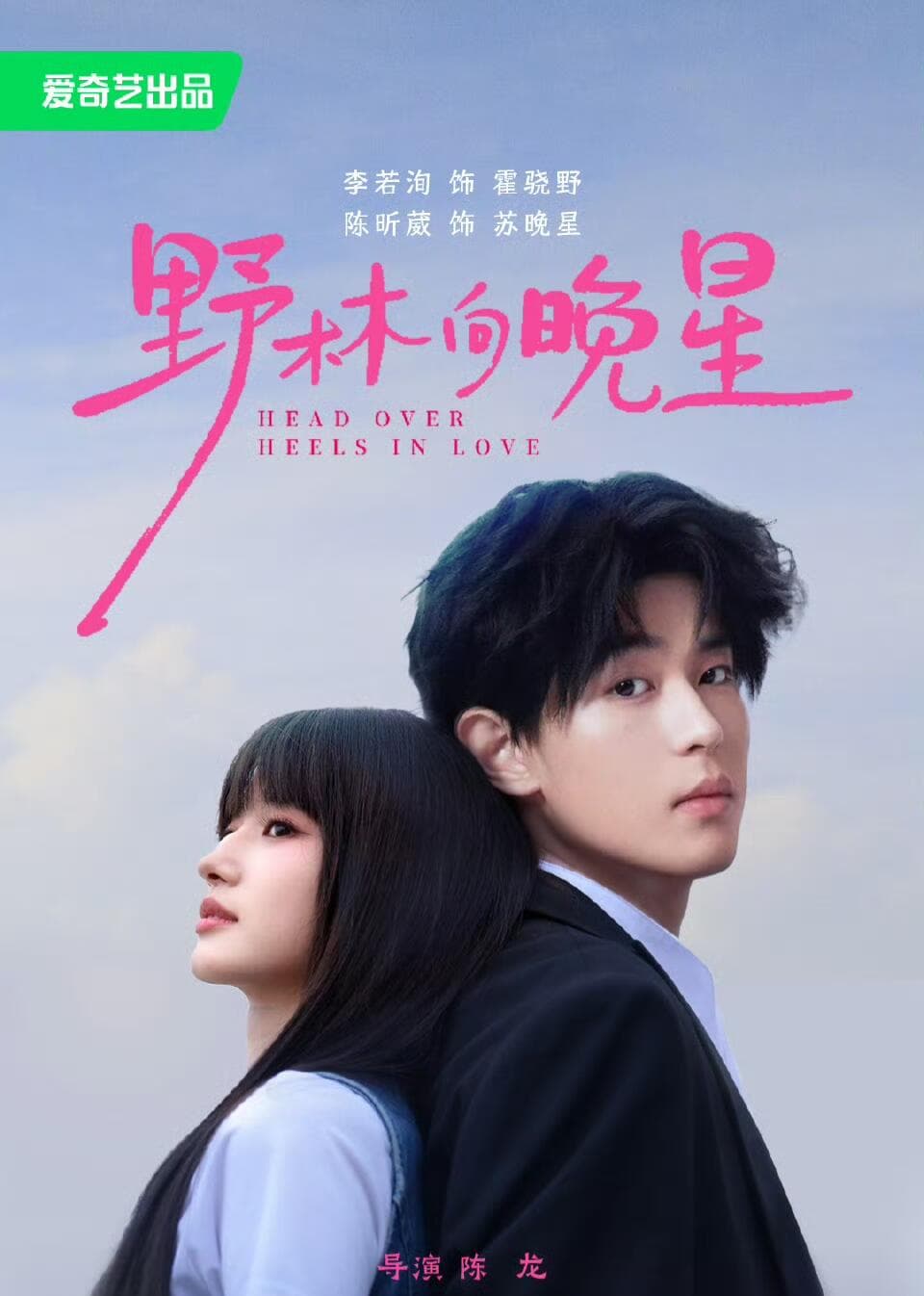 野林向晚星海报