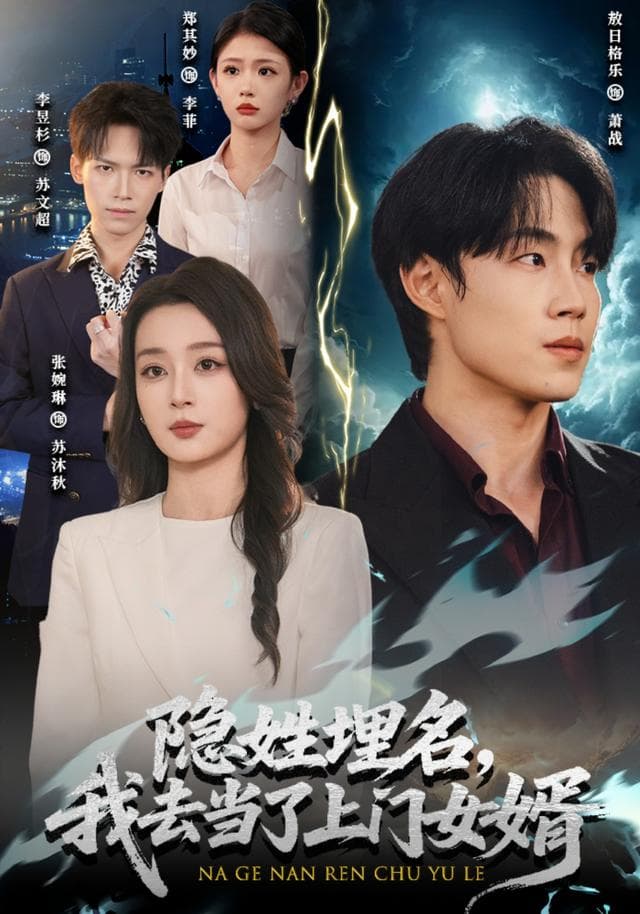 隐姓埋名，我去当了上门女婿海报