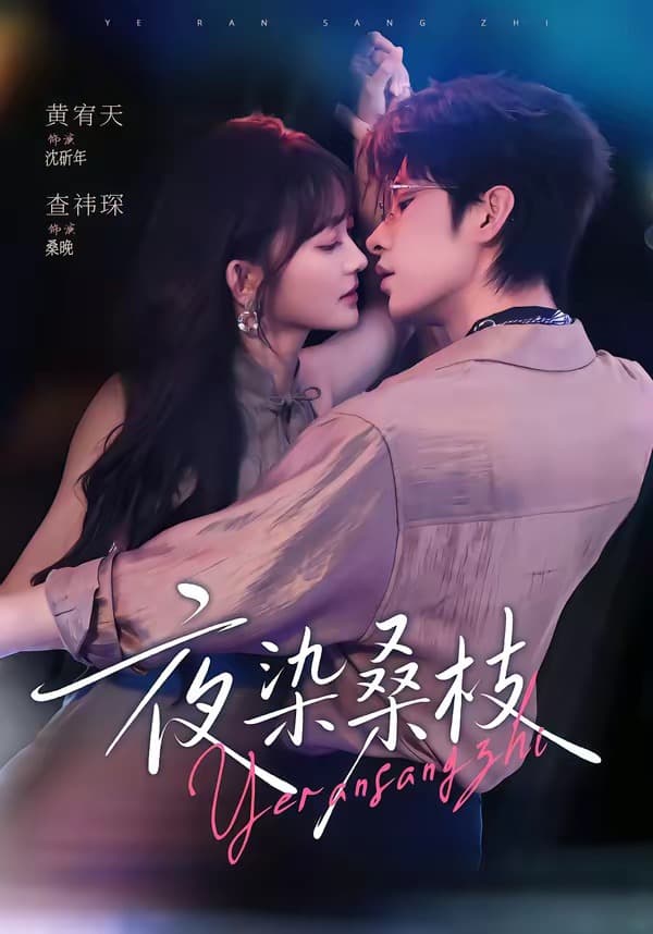 夜染桑枝海报