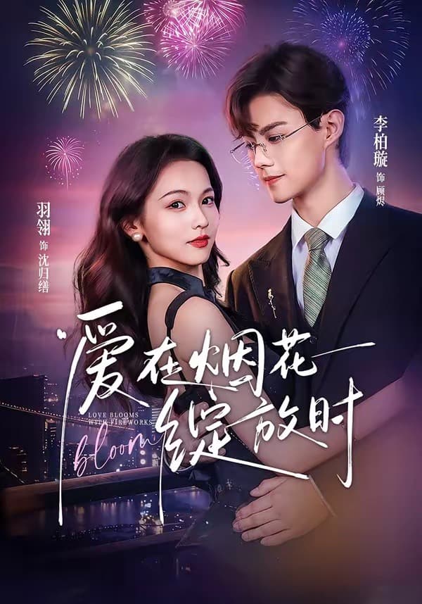 爱在烟花绽放时海报
