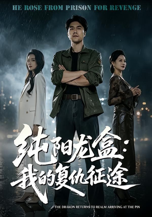纯阳龙盒：我的复仇征途海报