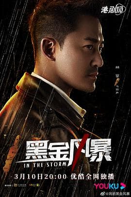 黑金风暴国语海报