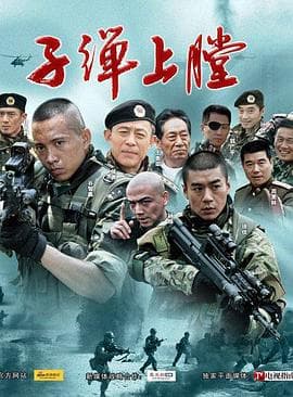 我是特种兵2011海报