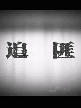 追匪海报