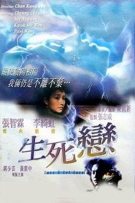 生死恋1998国语海报