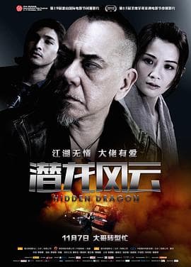 潜龙风云国语海报