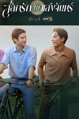 月光挚情海报