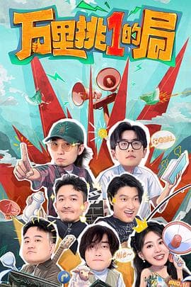 万里挑一的局海报