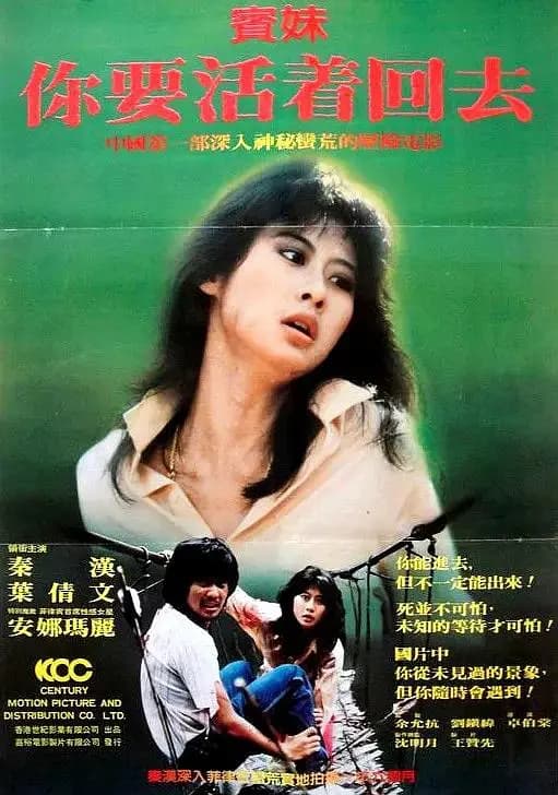 宾妹海报