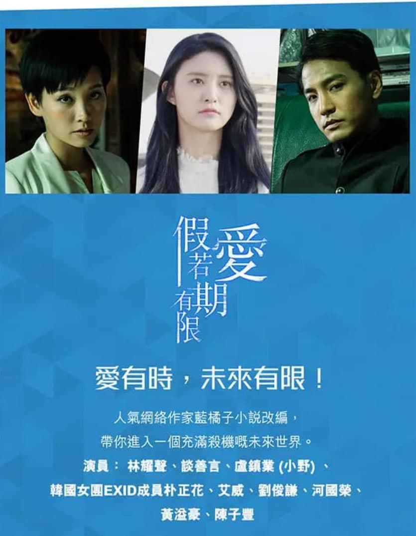 假如爱有期限海报