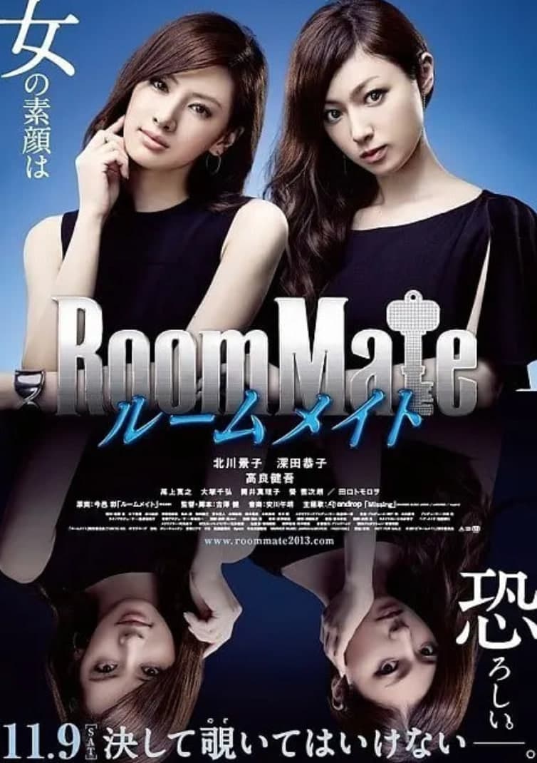 室友 2013海报
