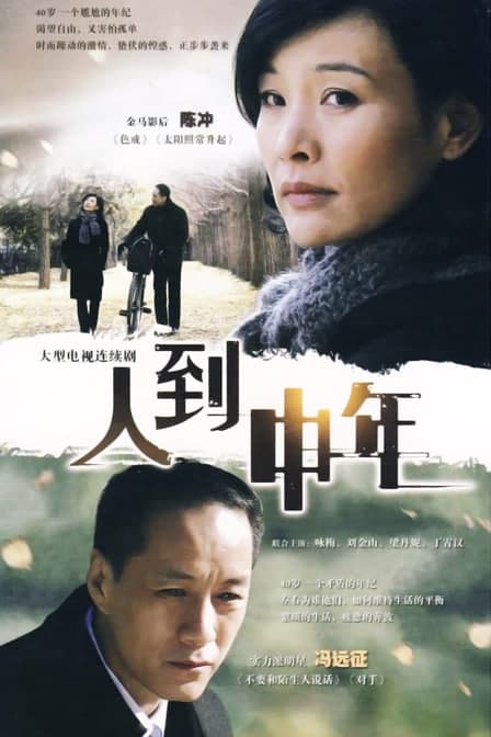 人到中年海报
