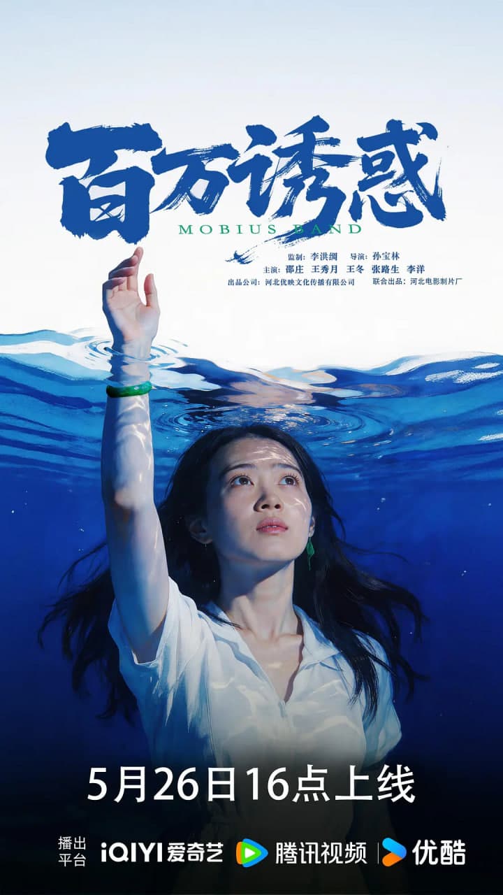 百万诱惑海报
