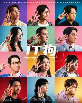 IT狗2海报