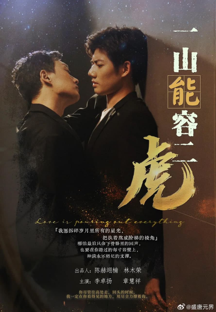 一山能容二虎海报