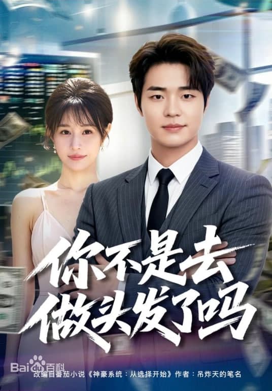 你不是去做头发了吗海报