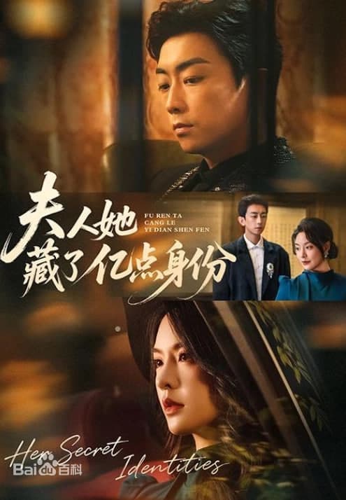 夫人她藏了亿点身份海报
