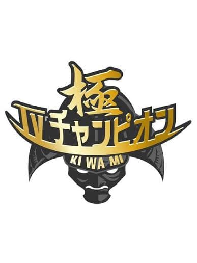 电视冠军之极海报