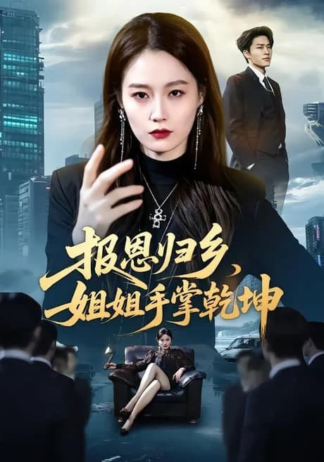 报恩归乡，姐姐手掌乾坤海报
