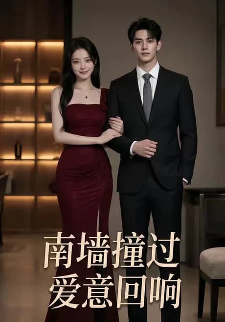 南墙撞过，爱意回响海报