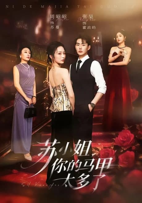 苏小姐，你的马甲太多了海报
